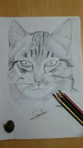 Cat Cat Drawing Kedi Cizimi Drawing Animals Cizim Cizim Teknikleri Sanat Ipuclari