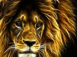 Image result for 3d hd wallpapers