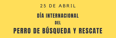 Costa del sol tv en directo. Dia Internacional Del Perro De Rescate 2021 Perrosdebusqueda