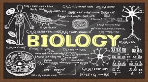 Ilmu yang mempelajari keindahan bahasa. Pengetian Biologi Fungsi Tujuan Dan Manfaat Mempelajari Ilmu Biologi
