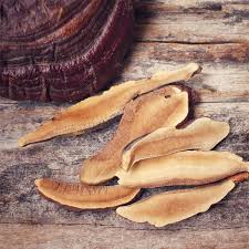 Image result for Ganoderma lucidum