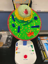 We did not find results for: Yummy Science Lab Alert Mrs Rodriguez Cesar Chavez Middle School Facebook