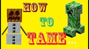Snow golems melt (take fire damage) in biomes with a temperature greater than 1.0, or dry/warm biomes like badlands, deserts, savannas and biomes in the nether. Minecraft How To Tame A Snowgolem Youtube