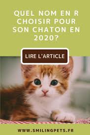 Le chat est le compagnon idéal autant pour les femmes que pour les enfants. Noms De Chat En R En 2020 Noms De Chat Prenom Chat Femelle Chat Femelle