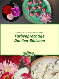 🌱 aber auch mit nadelgehölzen oder mit bodendeckern wie sedum klappt es. Mdr Garten Dieses Ganz Besondere Rezept Fur Facebook