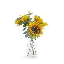Watercolor glass bottles of the essential oil decorated with almond nuts, leaves, fruits and flowers. Sunflower Arrangement In Glass Vase Home George At Asda