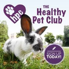 Healthy pets veterinary services, p.c. Healthy Pet Club Fromus Veterinary Group