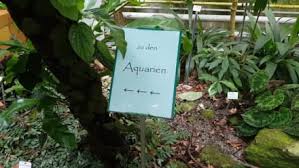 Im herzen der stadt lädt der botanische garten dresden dazu ein, die welt der pflanzen zu entdecken. Bilder Botanischer Garten Dresden Botanischer Garten Dresden Sachsen Deutschland