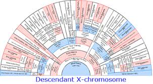 10 Unmistakable Family Tree Maker Direct Descendant Chart