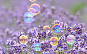 Spring desktop backgrounds hd, wallpaper, spring desktop. 59 Spring Desktop Wallpapers On Wallpapersafari