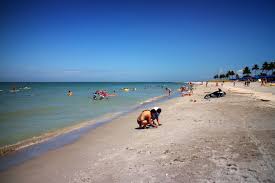 Image result for Sandy Beach 2013 Captiva
