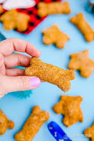 I do keep them in the refrigerator. Easy Pumpkin Dog Treats Love From The Oven