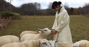 羊をめぐる冒険 のモデルになった町で 羊毛からフェルトの服を作る 粗清草堂 を訪ねて 羊 冒険 村上春樹