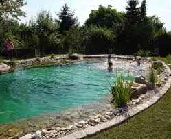 Schwimmteich Web Jpg 1000 816 Schwimmteich Naturschwimmbecken Teich