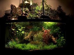 Waterfalls In Aquariums Nature Aquarium Planted Aquarium Aquarium