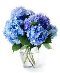 Light Blue Hydrangea Vase Blue Flower Vase Blue Flower Arrangements Blue Hydrangea Centerpieces