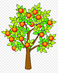 New and improved tutorial on how to draw a realistic red apple with coloured pencils!! Spring Green Tree Clipart Png Draw A Realistic Apple Tree Free Transparent Png Clipart Images Download
