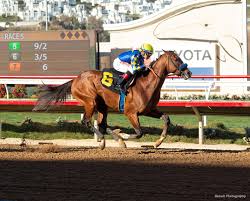 Kentucky derby 2021 at churchill downs coverage featuring road to the derby, derby watch, point standings, pps, news, race previews and race recaps. Authentic 2021 Kentucky Derby Oaks April 30 And May 1 2021