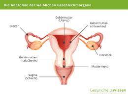 Sex nach ausschabung hallo ihr lieben, vielen werden mich vielleicht für verrückt halten oder es komisch finden. Ausschabung Implikation Ablauf Risiken