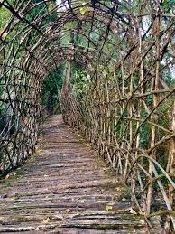 A lover of nature, mauri created the original plans in 2001. Giuliano Mauri Il Tessitore Del Bosco Photos Facebook