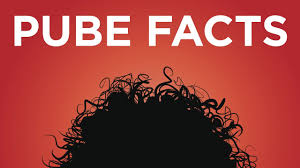 From trimmers and razors to the length and style, explore. The Truth About Shaving Your Pubes Youtube