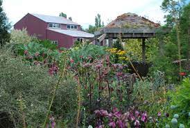 Tripadvisor has 23,181 reviews of port townsend hotels, attractions, and restaurants making it your best port townsend resource. Specialty Nursery Profile Far Reaches Farm Port Townsend Washington State Plinth Et Al