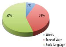 Albert Mehrabian Communication Pie Chart Www