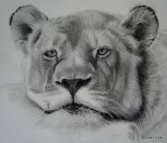 Maybe you would like to learn more about one of these? Detailed Pencil Drawings Of Animals And People By Doreen Cross Art Is Fun