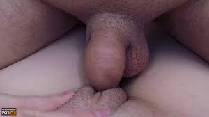 Pinto Mole Porn Gif | Pornhub.com