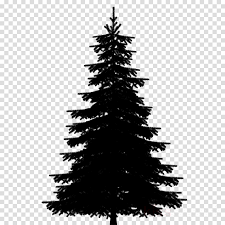 Howstuffworks delves into the shaping process. Christmas Black And White Clipart Tree Silhouette Plant Transparent Clip Art