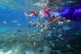 Terletak di perairan laut china selatan dan merupakan salah satu daripada sembilan (9) buah pulau yang membentuk taman laut kepulauan redang. Thank You Amazing Terengganu For Redang Pelangi Resort Facebook