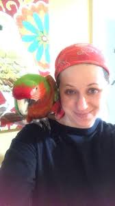 A Clockwork Orange book discussion