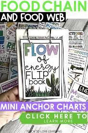 Maybe you would like to learn more about one of these? Food Chain Mini Anchor Charts Anchor Charts Food Web Food Chain