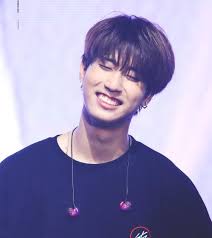 Pin By Bethzaida Diaz On Straykids Kids Icon Stray Kpop