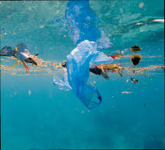 Julianna kadar, macquarie university, sydney, nsw, australia. Nature Sustainability Papers On Ocean Plastic Ocean Protect