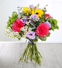 We did not find results for: Shop Online Miss Daisy Florist Florist In Dublin