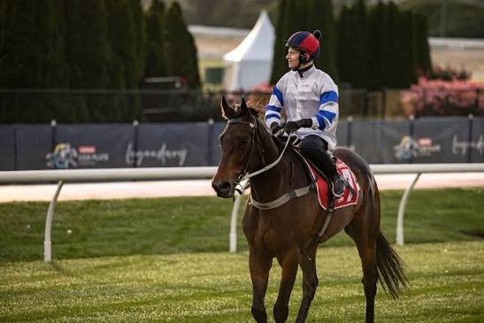 READ: Gr.1 New Zealand Oaks winner Ohope Wins is set to continue her racing career in Australia in the stable of Chris Waller. https://www.racingnews.co.nz/ohope-wins-to-join-waller/