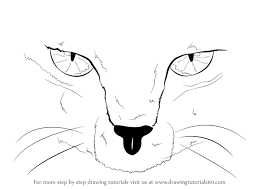 Remember, eye styles vary vastly. Learn How To Draw Scary Cat Eyes Other Animals Step By Step Drawing Tutorials
