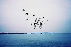 Birds Flying In The Sky Quotes Fly Birds Sky Ocean Blue Sea Waves Quotes Quote Words Word Saying Sayings Freedom Fly Away Quotes Things Fly Quotes Flying Tattoo Simple Words