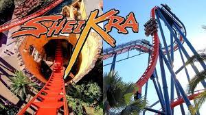Riding The Awesome Sheikra Roller Coaster At Busch Gardens Tampa Amazin Roller Coaster Busch Gardens Tampa Busch Gardens
