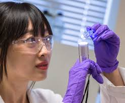 The Secret Life of a Materials Chemist