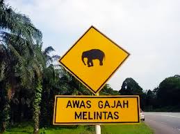 Penggunaan sumber semula jadi yang berleluasa tanpa memikirkan akibatnya akan memberikan kesan yang mendalam dan. Tahukahanda Aneka Papan Tanda Haiwan Melintas Seluruh Dunia