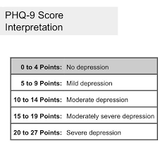 9 items are rated based on frequency of occurrence in the. Phq 9 Score