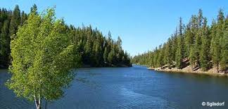 View listing photos, review sales history, and use our detailed real estate filters to find the perfect place. Payson Arizona Mogollon Rim Payson Az Hotels