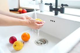 spend money on garbage disposal