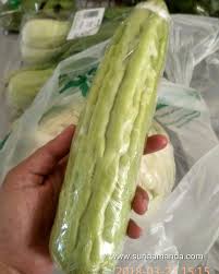 #peria_katak #kapsul_peria #khasiat_peria_katak discover exclusive deals and reviews of periakatak online! Suria Amanda Peria Atau Kambas