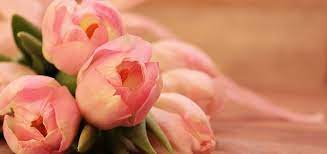 Maybe you would like to learn more about one of these? What Color Flowers For Funeral What Kind Of Flowers For Funeral