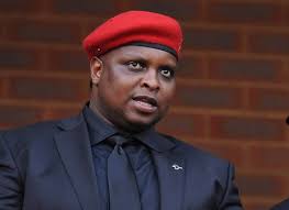 Floyd Shivambu hits back after fresh allegations of VBS corruption surface