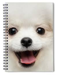 Dog Spiral Notebooks for Sale
