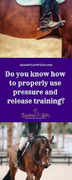 What Is Pressure And Release Training Equestrian Writer Natural Horsemanship Horse Training Horses